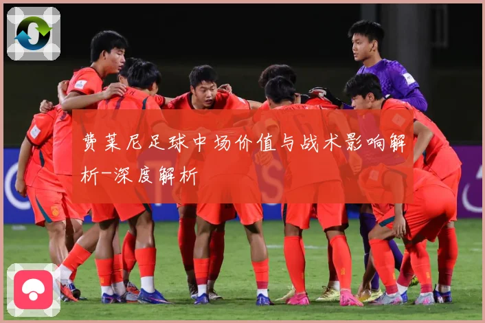 费莱尼足球中场价值与战术影响解析-深度解析