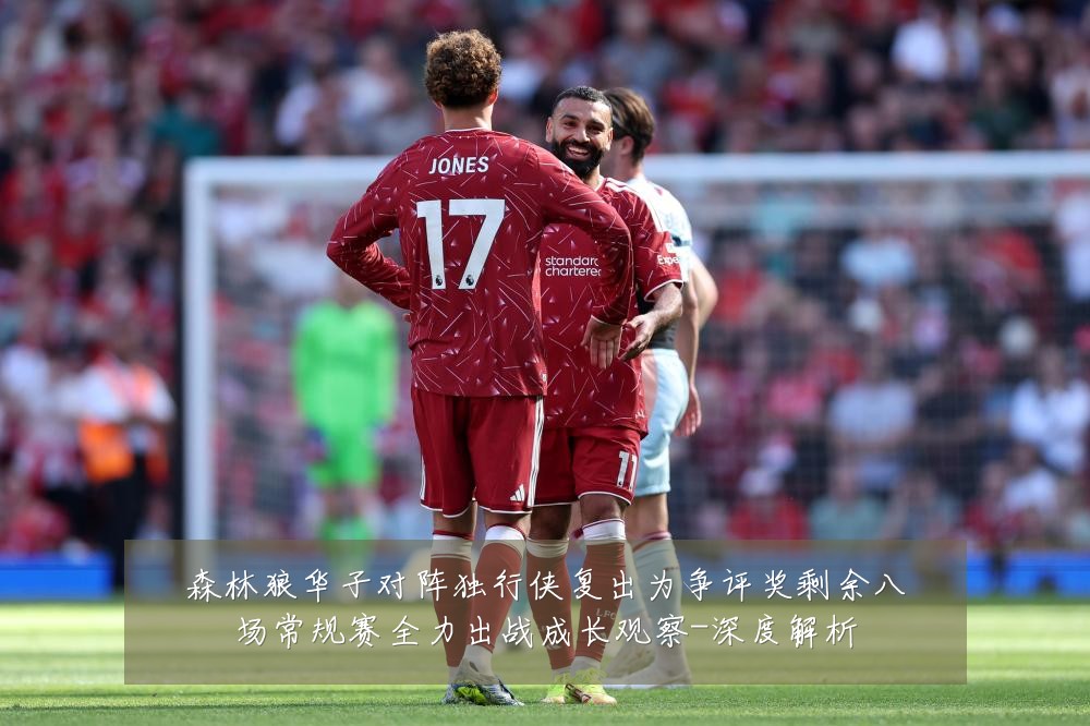 森林狼华子对阵独行侠复出为争评奖剩余八场常规赛全力出战成长观察-深度解析