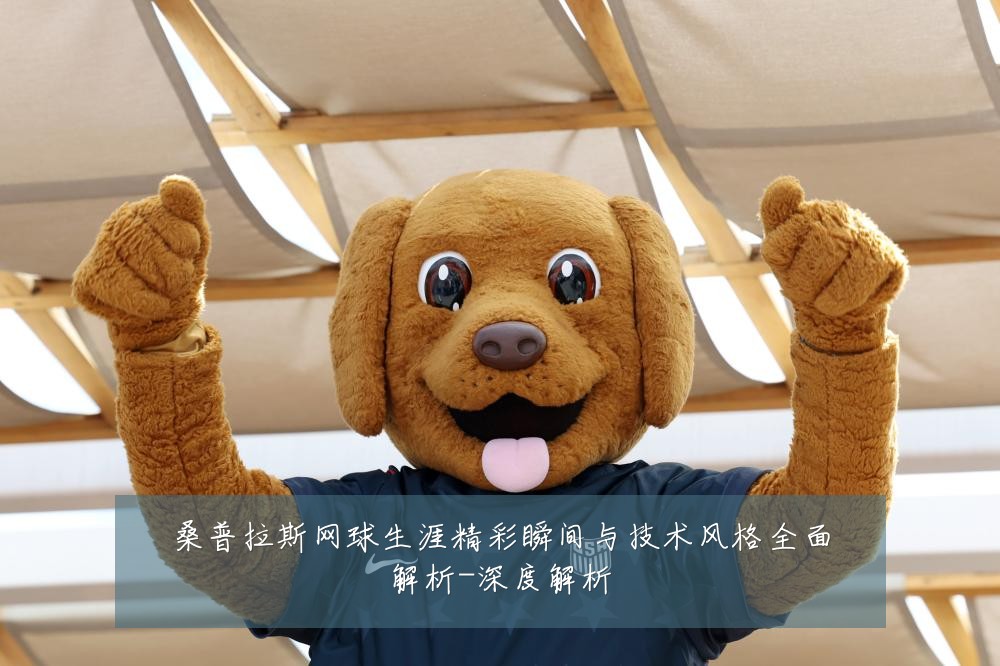 桑普拉斯网球生涯精彩瞬间与技术风格全面解析-深度解析